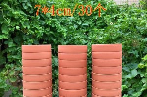 探究红泥种植的最佳搭档（适合种植什么植物？红泥肥力如何？用红泥种植有哪些优势？）