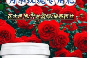 玫瑰的种植和养护（学会这些技巧，让你的玫瑰茁壮成长）