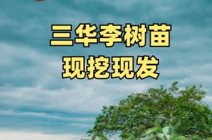 李子树嫁接的时间和方法（掌握嫁接技巧，让李子树生长更健康）