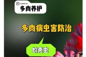 多肉植物病虫防治的有效方法（打造健康多肉花园，守护病虫远离）