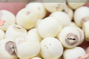 莲子的种子利用价值（探究莲子的种子能否作为食品或药材）