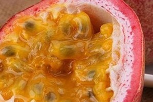 百香果四季常青，它的最佳食用时间是什么时候？（探秘百香果不同季节的品质与滋味）
