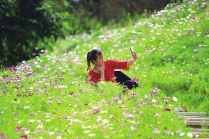 格桑花摘心的方法与步骤图解（教你轻松掌握摘心技巧，保护生态环境）