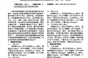 豌豆套种技术与作物品种选择（打造高效农业，丰收双倍惊喜）