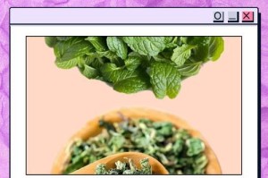 薄荷叶小的秘密（揭秘薄荷叶小的起源、功能和用途，让你对它爱不释手！）