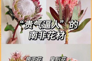 帝王花开花的秘密（揭秘帝王花的开花机制及促进开花的方法）